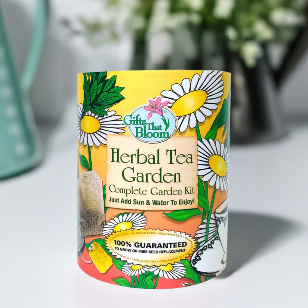 Herbal Tea Garden Grocan Seed Kit