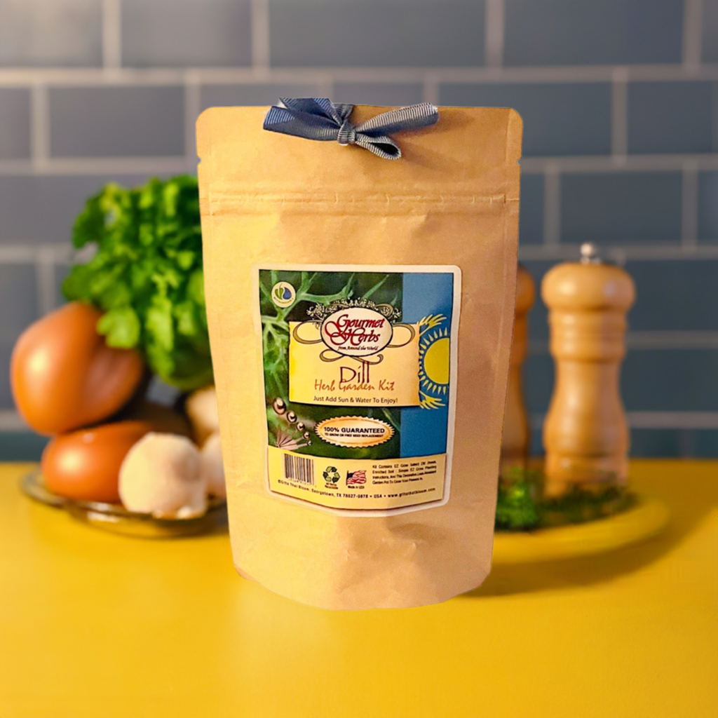 Dill Herb Garden Grobag Seed Kit