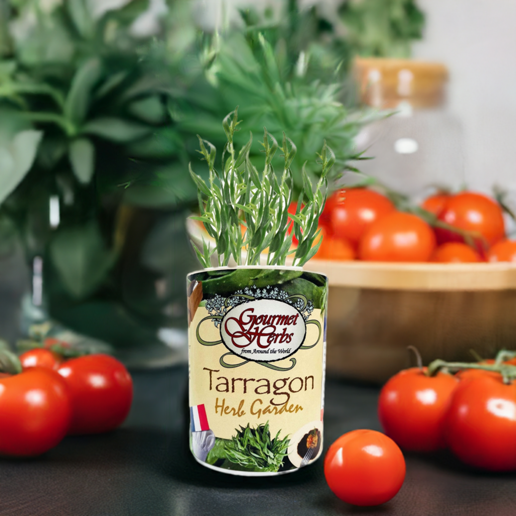 Tarragon Herb Garden Grocan Seed Kit