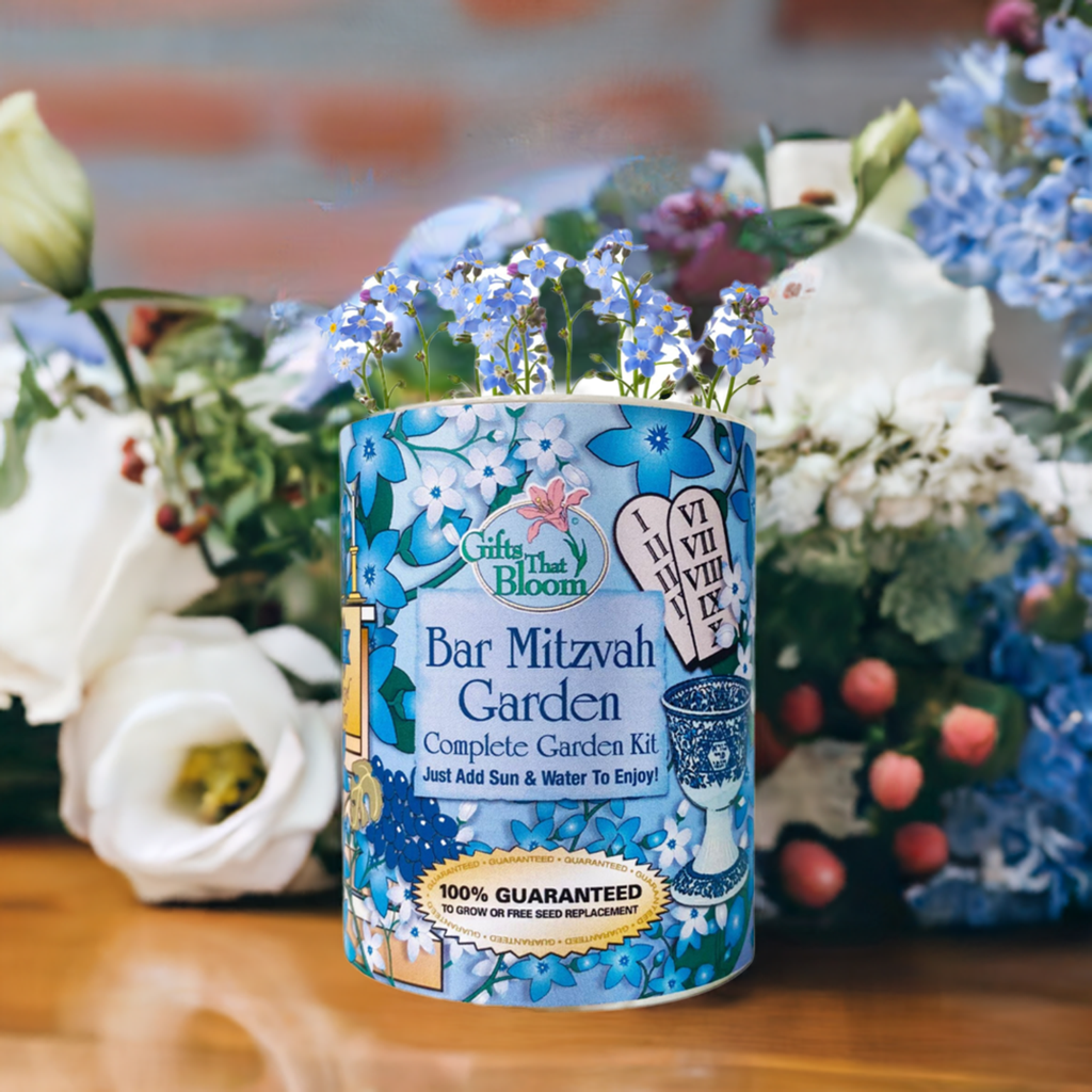 Bar Mitzvah Garden Grocan Seed Kit