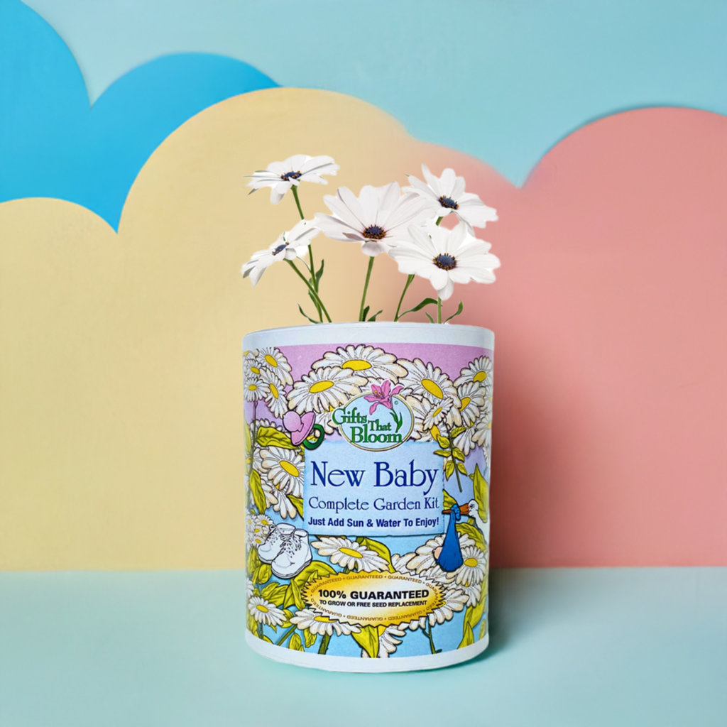 New Baby Garden Grocan Seed Kit