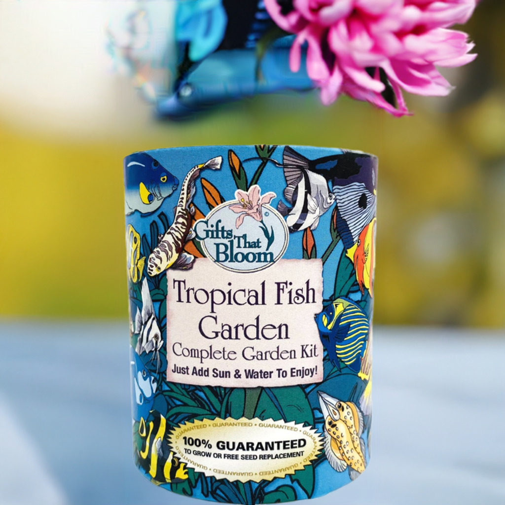Tropical Fish Garden Grocan Seed Kit