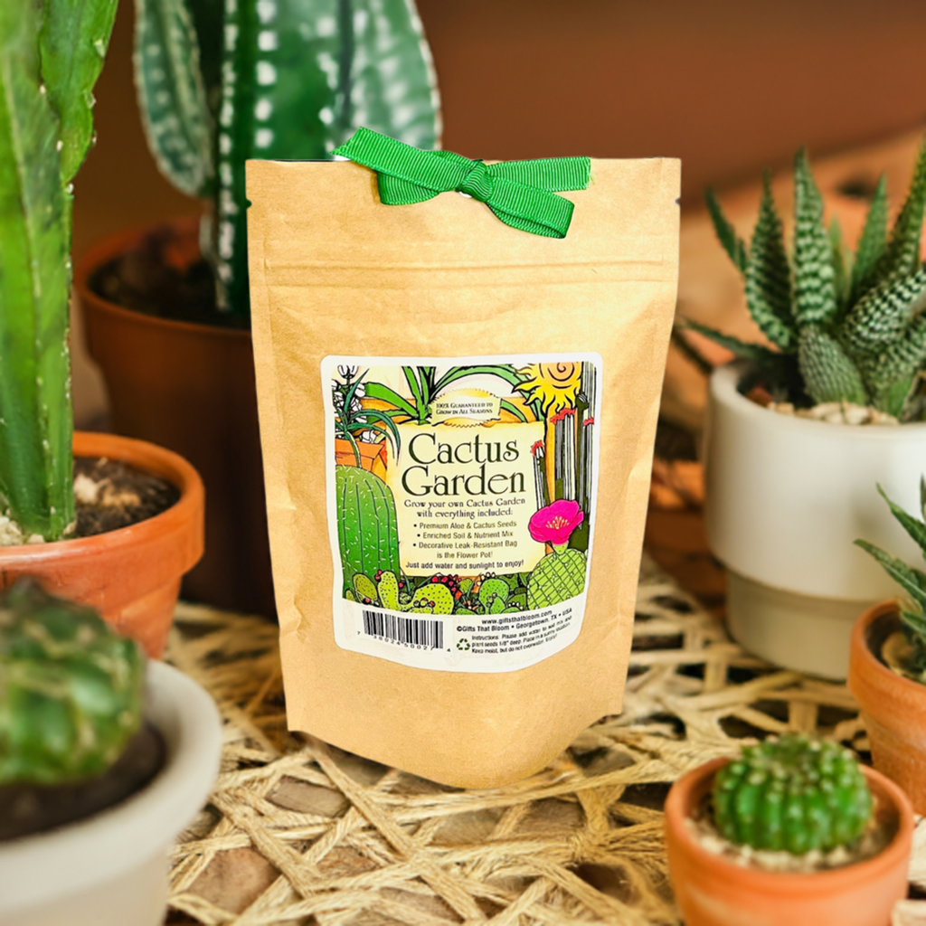 Cactus Garden Grobag Seed Kit