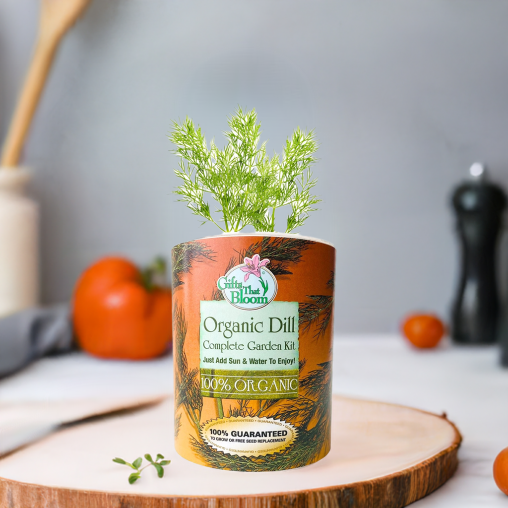Organic Dill Herb Garden Grocan Seed Kit