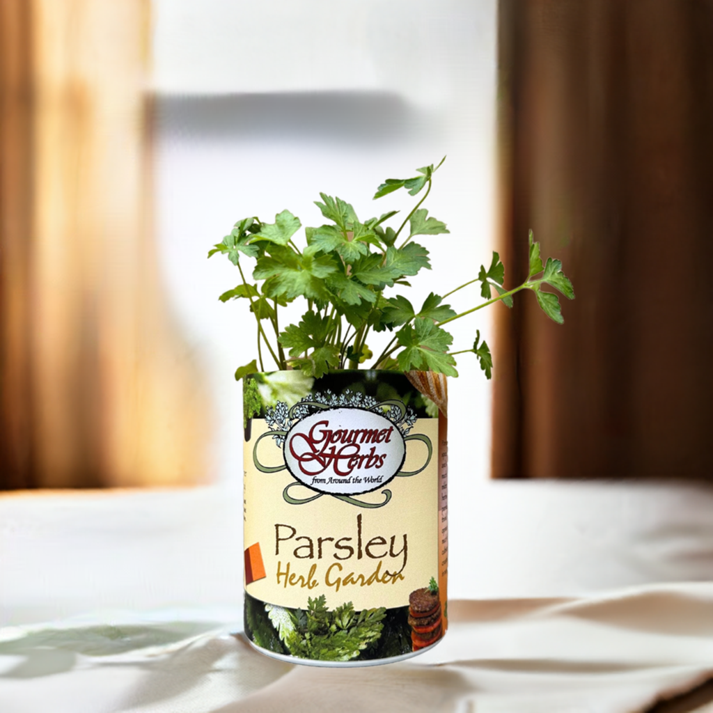 Parsley Herb Garden Grocan Seed Kit