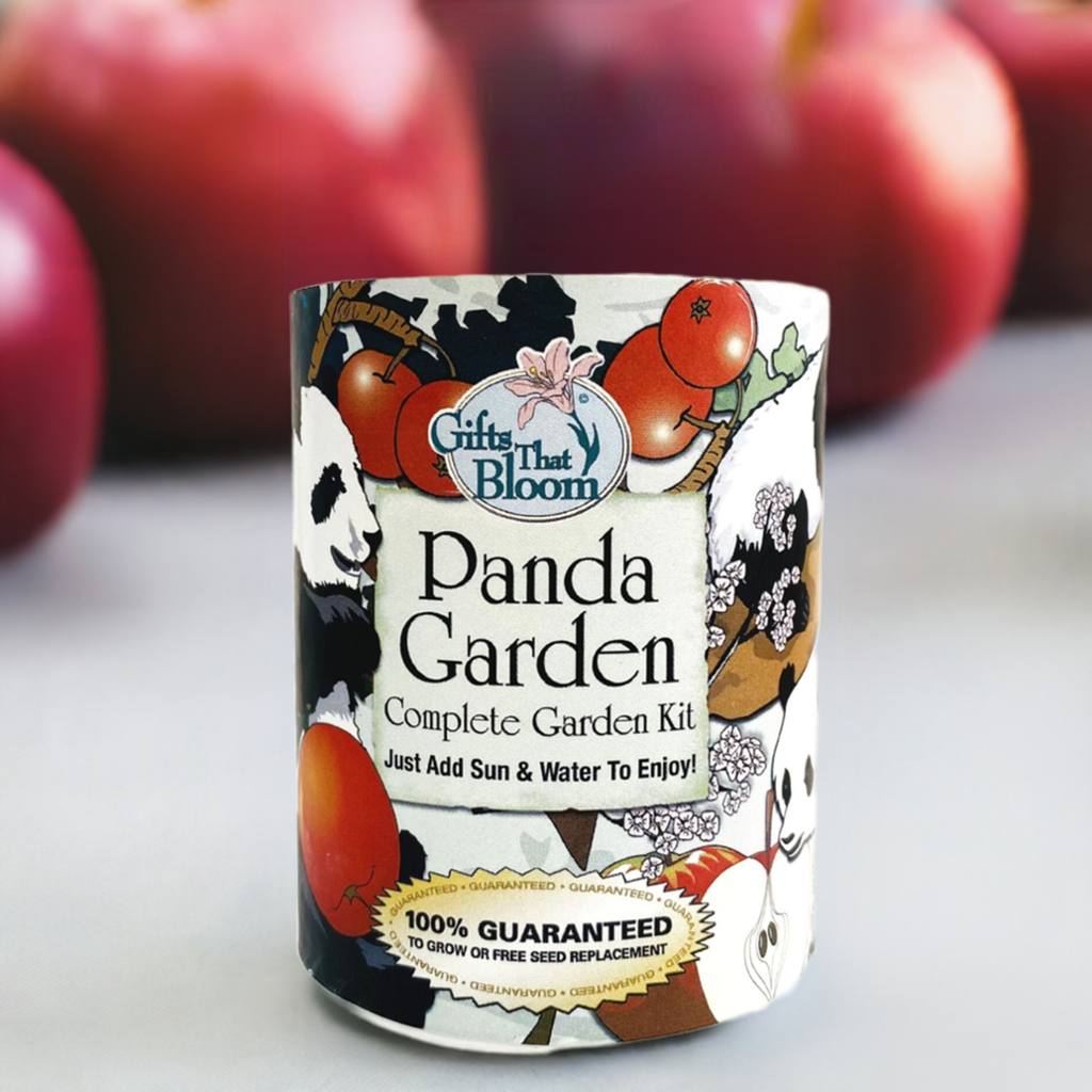 Panda Garden Grocan Seed Kit