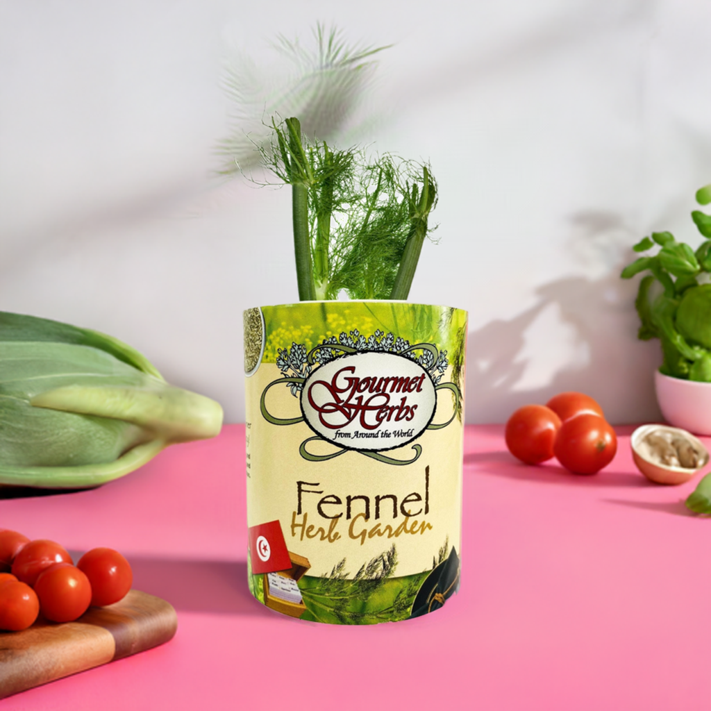 Fennel Herb Garden Grocan Seed Kit