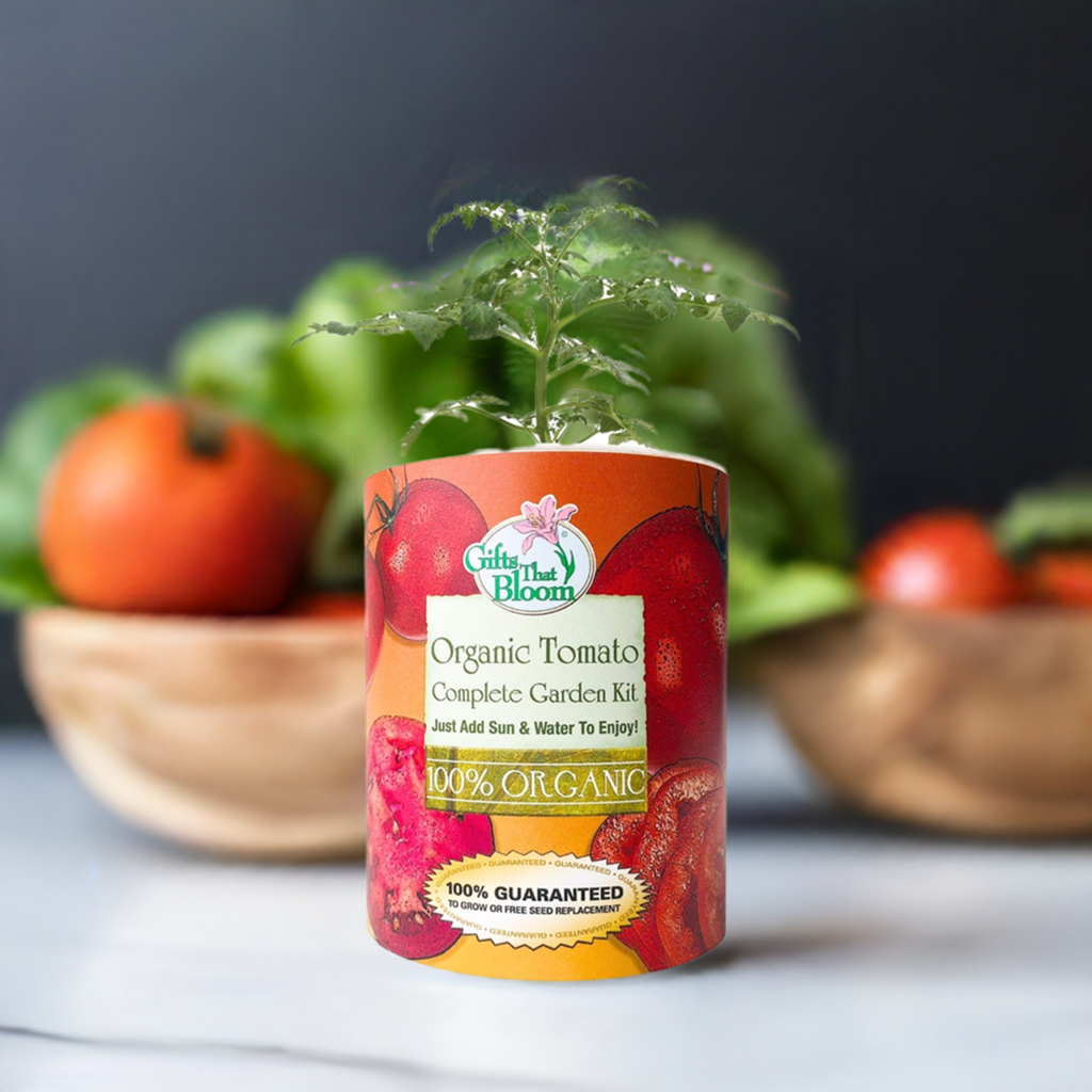 Organic Tomato Garden Grocan Seed Kit