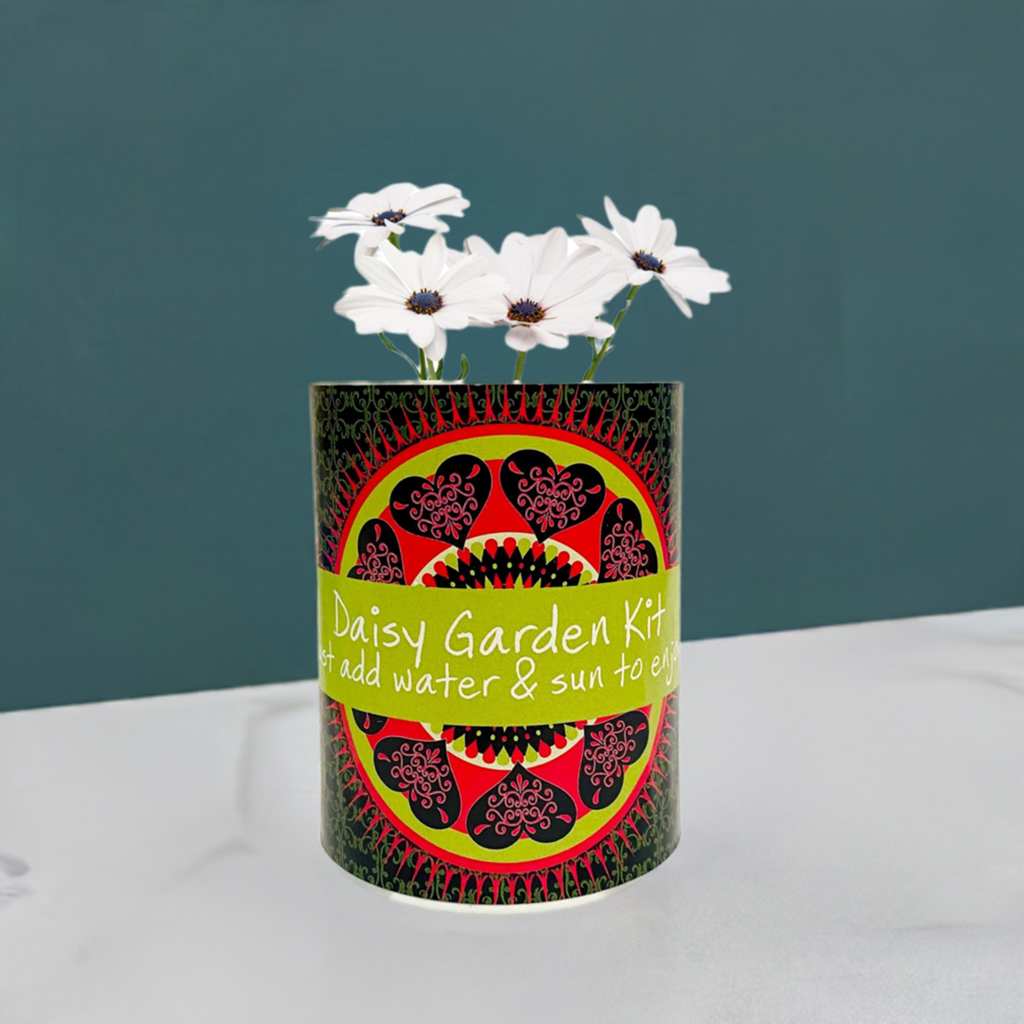 Daisy Garden Grocan Seed Kit