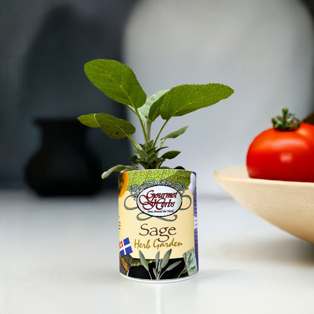 Sage Herb Garden Grocan Seed Kit