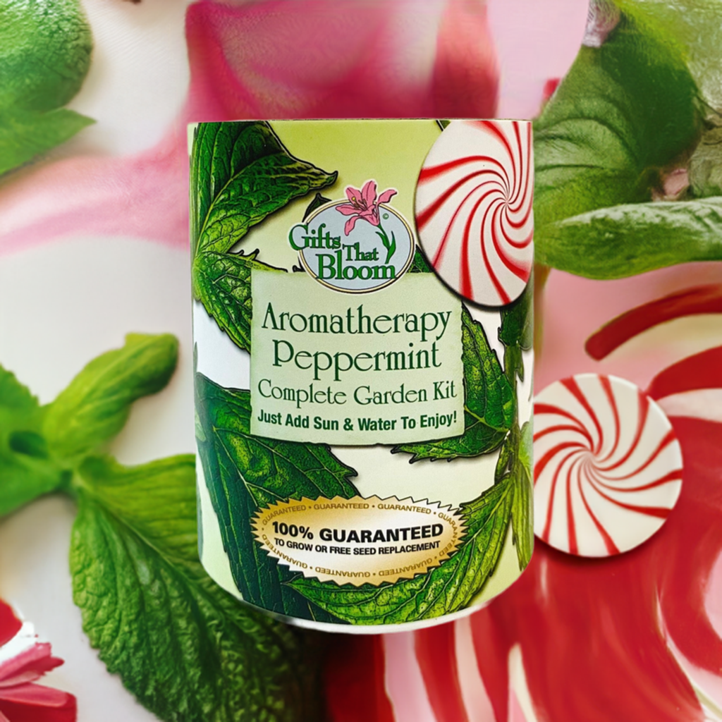 Aromatherapy Peppermint Garden Grocan Seed Kit