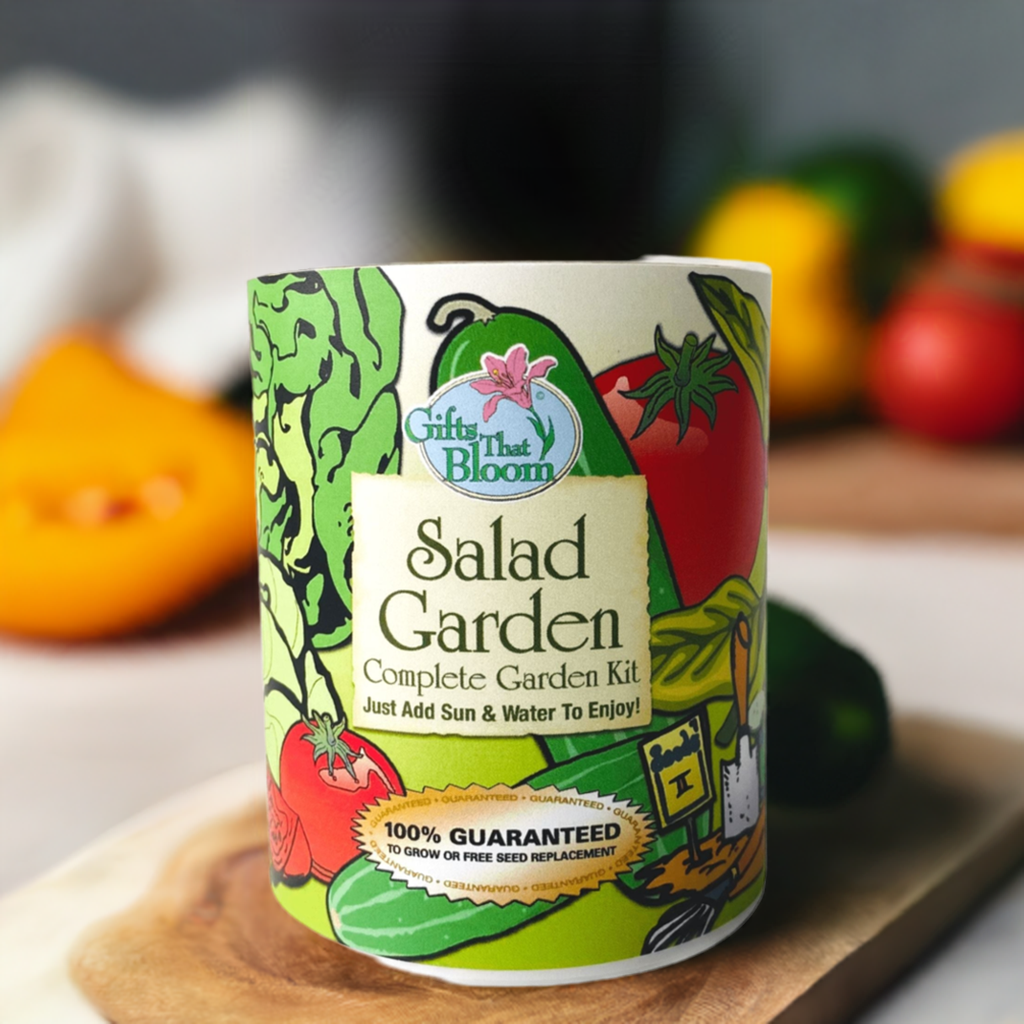 Salad Garden Grocan Seed Kit
