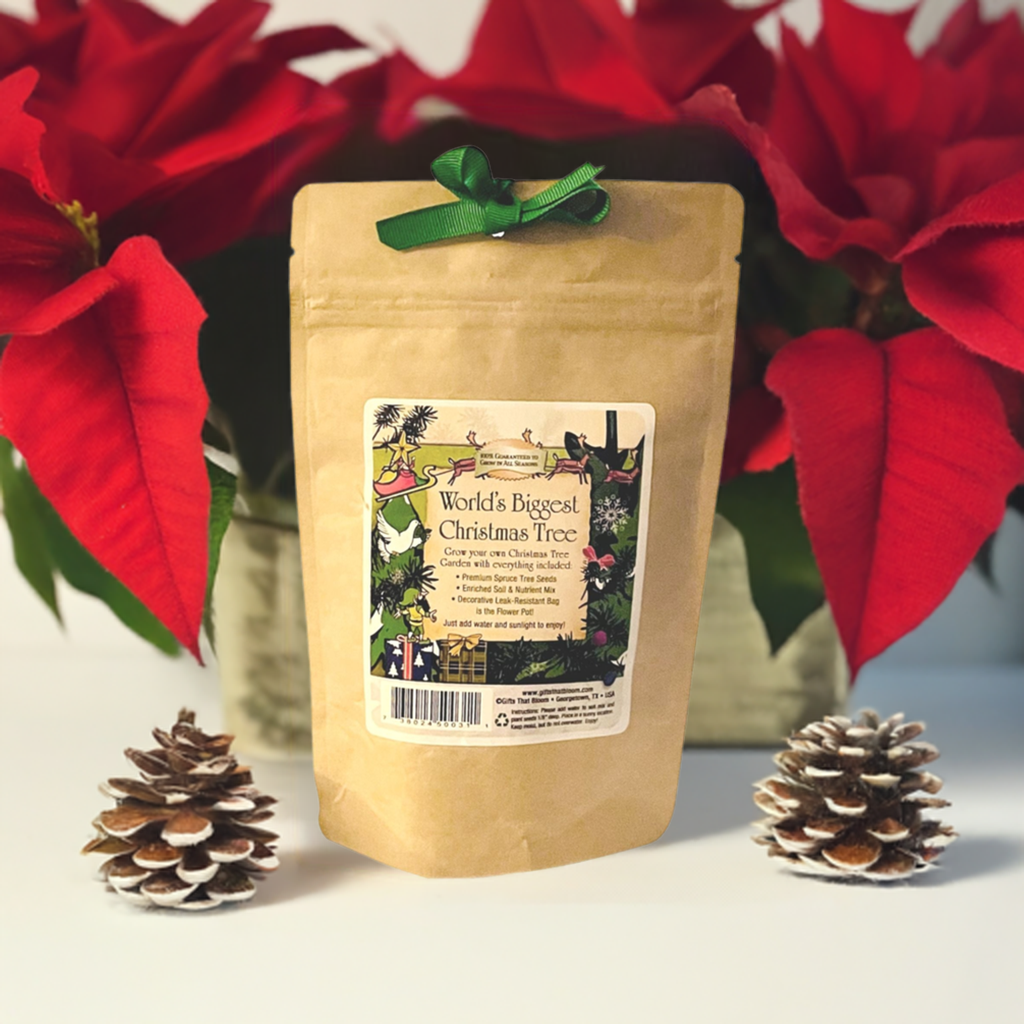 World's Biggest Christmas Tree Garden Grobag Seed Kit