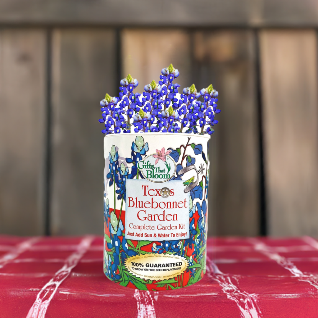 Texas Bluebonnet Garden Grocan Seed Kit