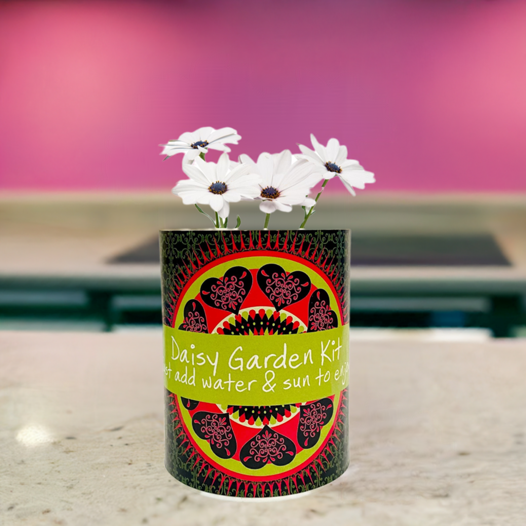 Daisy Garden Grocan Seed Kit