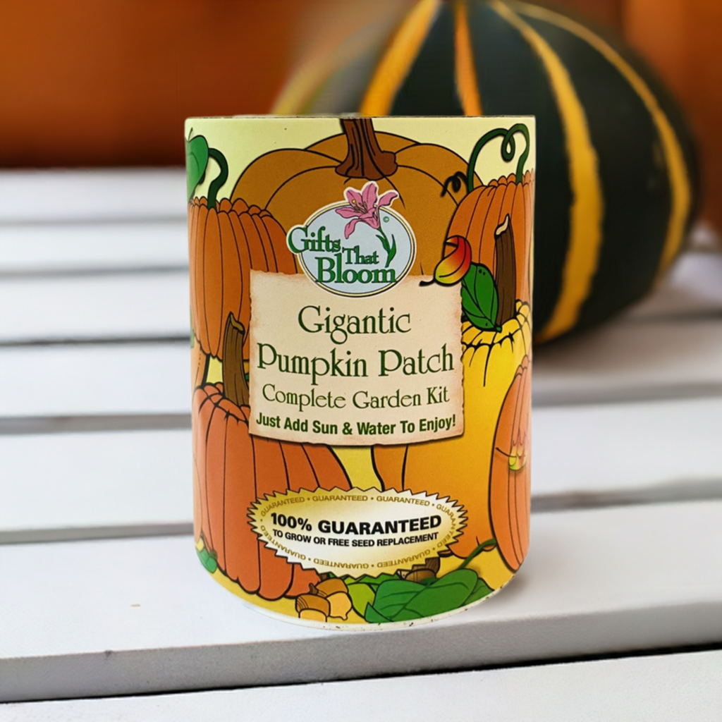 Gigantic Pumpkin Patch Garden Grocan Seed Kit