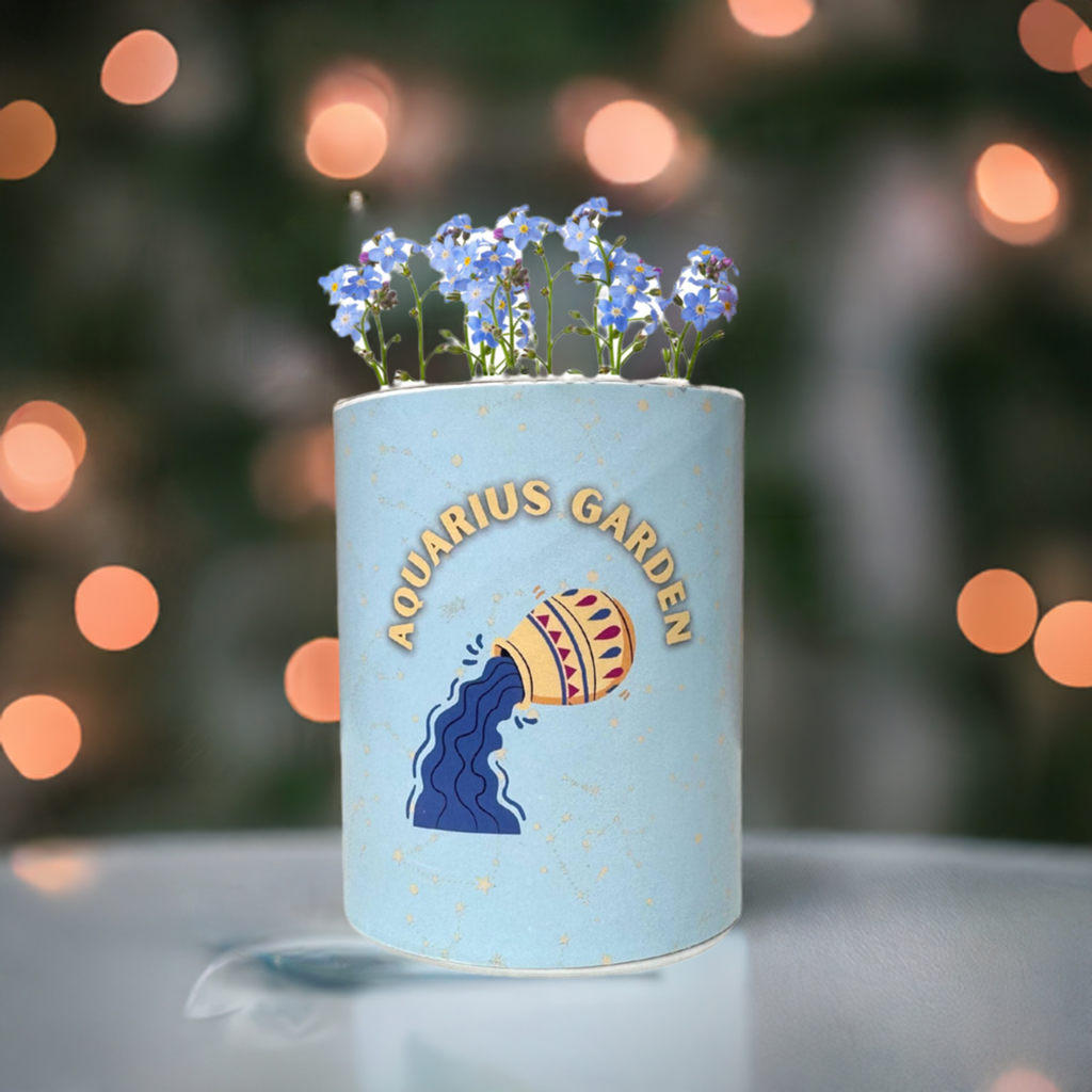 Aquarius Zodiac Garden Grocan Seed Kit