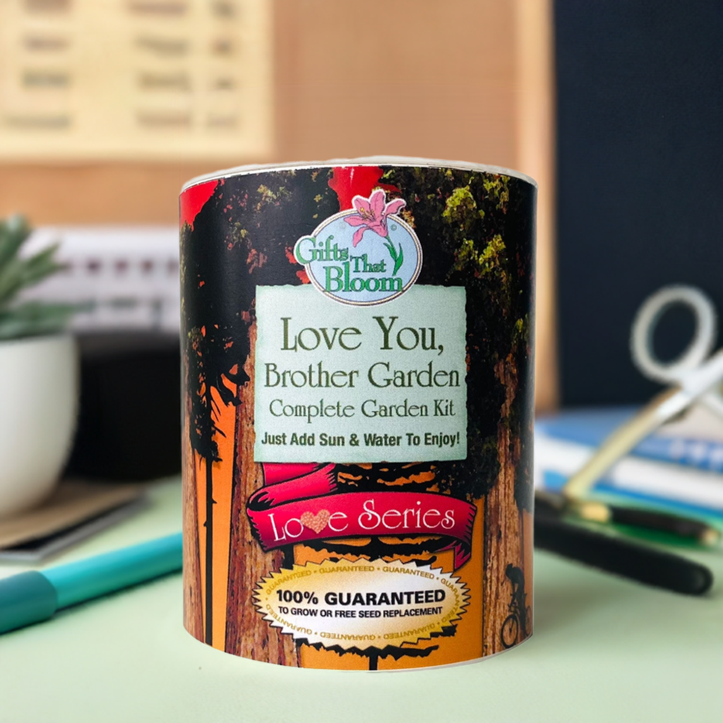 Love You Brother Garden Grocan Seed Kit