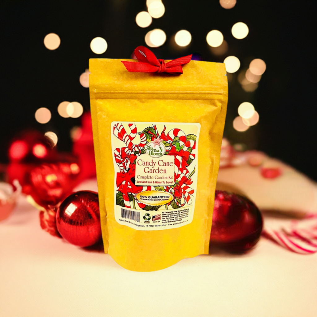 Candy Cane Garden Grobag Seed Kit