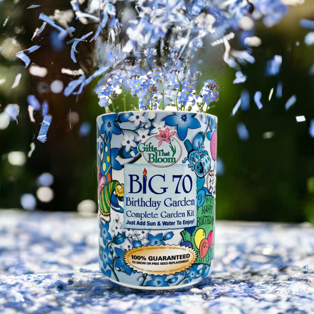 Big 70 Birthday Garden Grocan Seed Kit