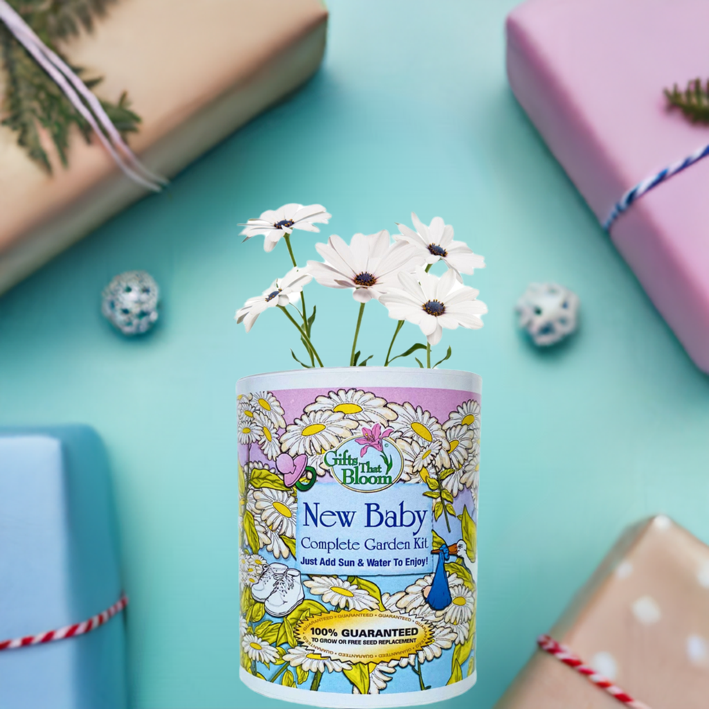 New Baby Garden Grocan Seed Kit