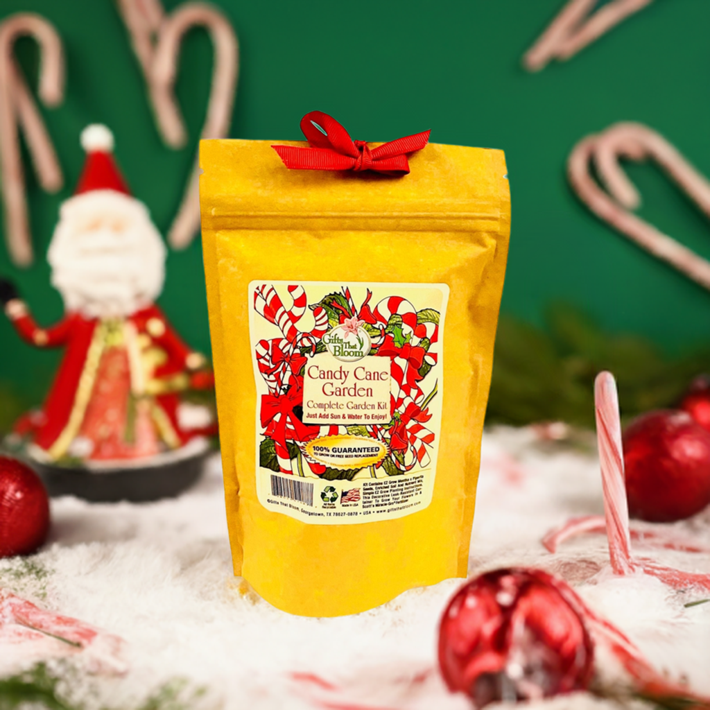 Candy Cane Garden Grobag Seed Kit