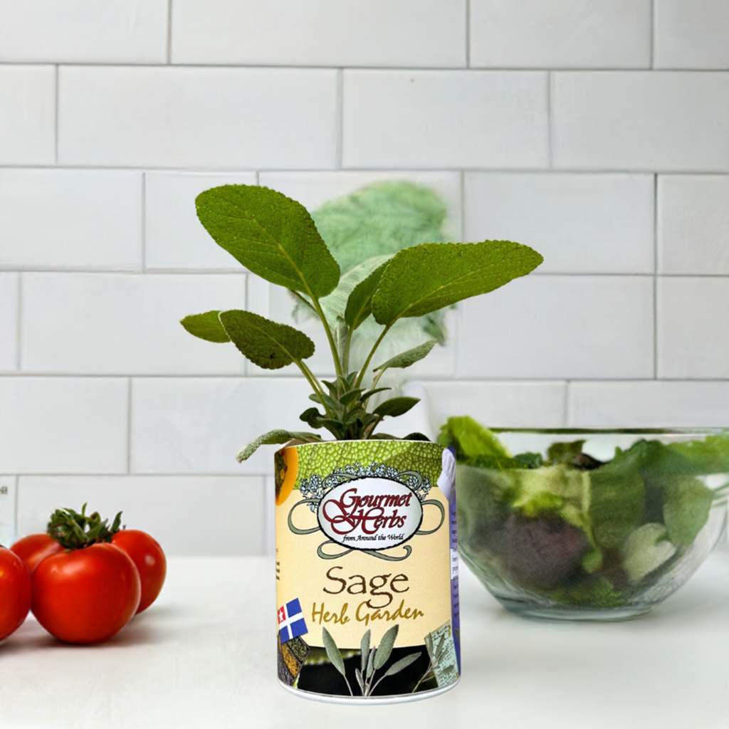 Sage Herb Garden Grocan Seed Kit