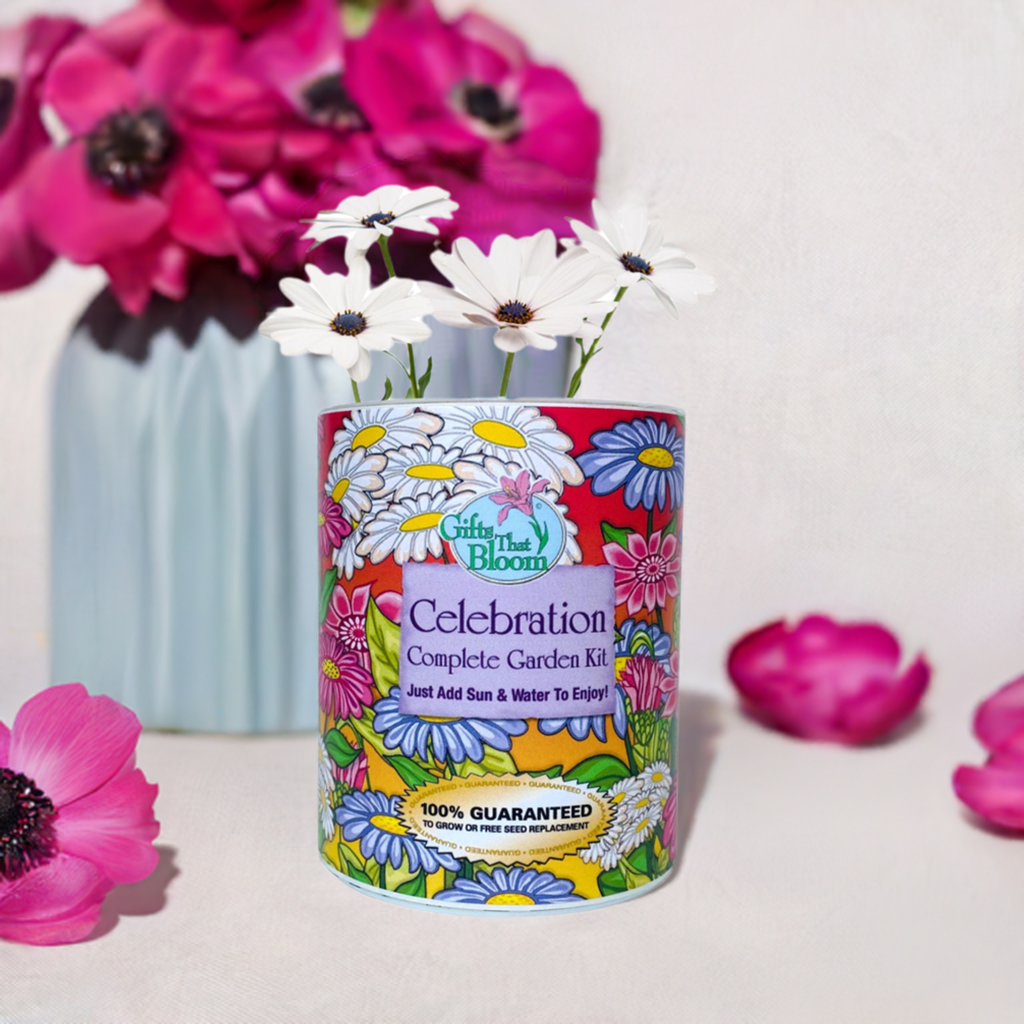 Celebration Garden Grocan Seed Kit