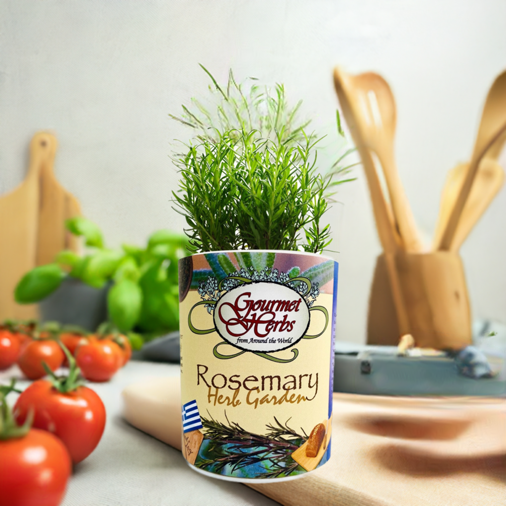 Rosemary Herb Garden Grocan Seed Kit