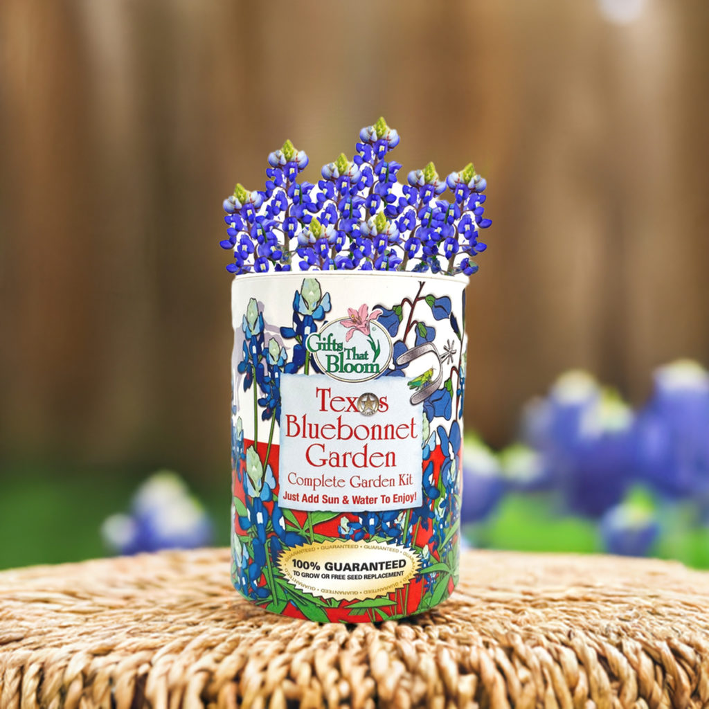 Texas Bluebonnet Garden Grocan Seed Kit