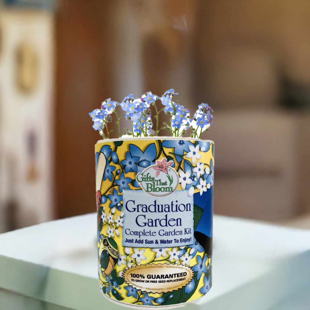 Graduation Garden Grocan Seed Kit