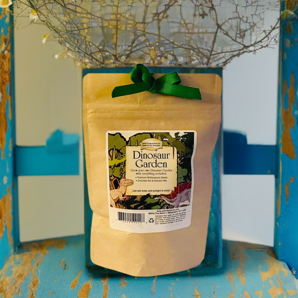 Dinosaur Garden Grobag Seed Kit