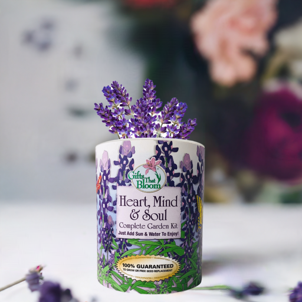 Heart, Mind, Soul Garden Grocan Seed Kit