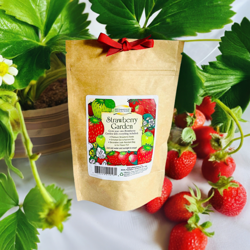 Strawberry Garden Grobag Seed Kit