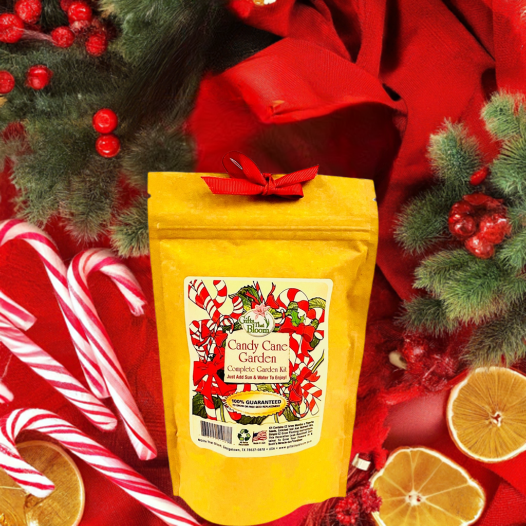 Candy Cane Garden Grobag Seed Kit