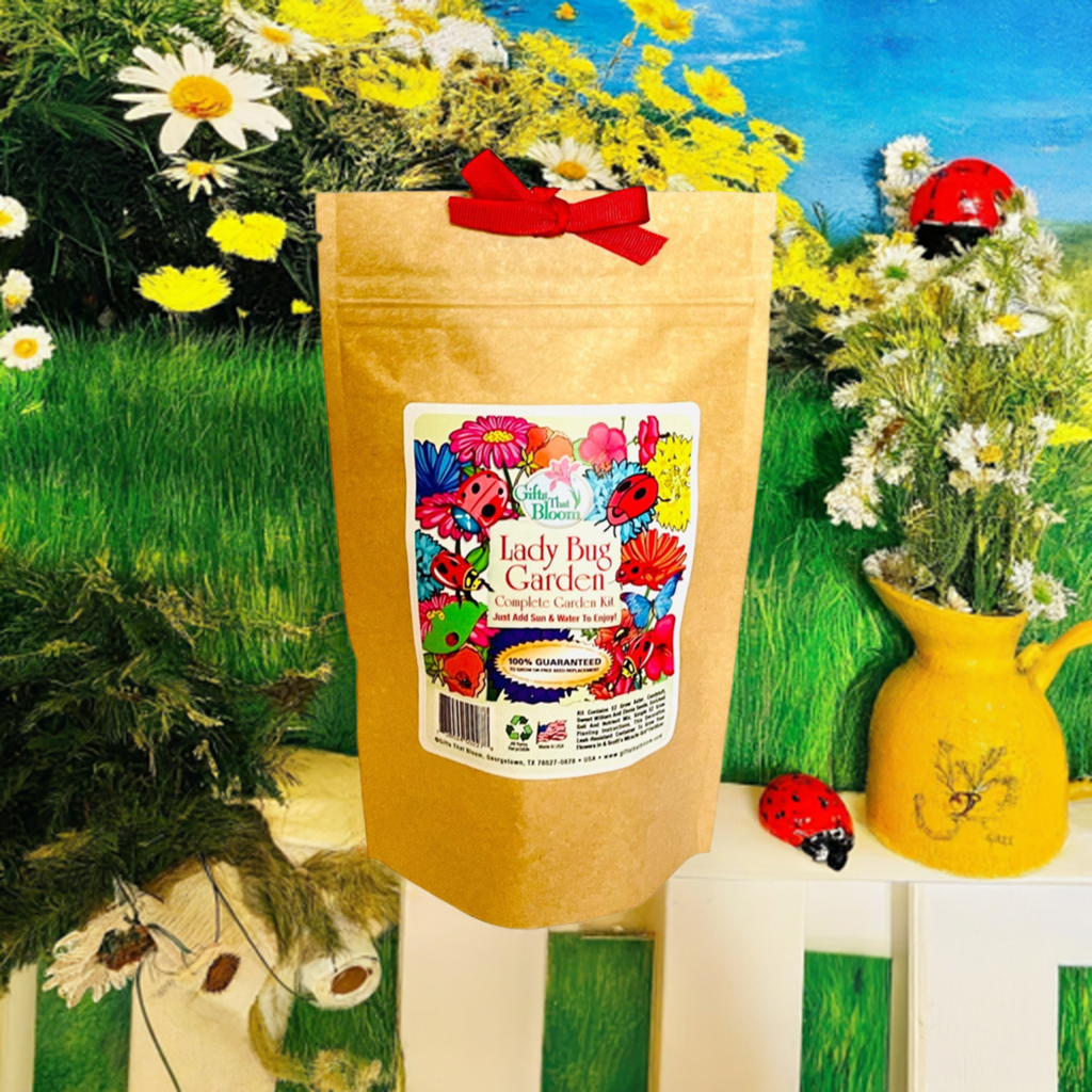 Lady Bug Garden Grobag Seed Kit