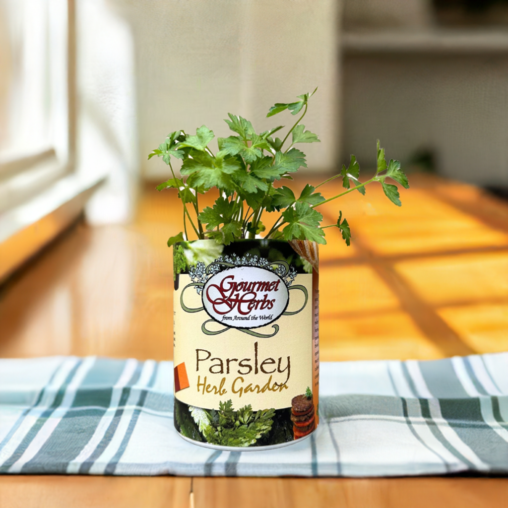 Parsley Herb Garden Grocan Seed Kit
