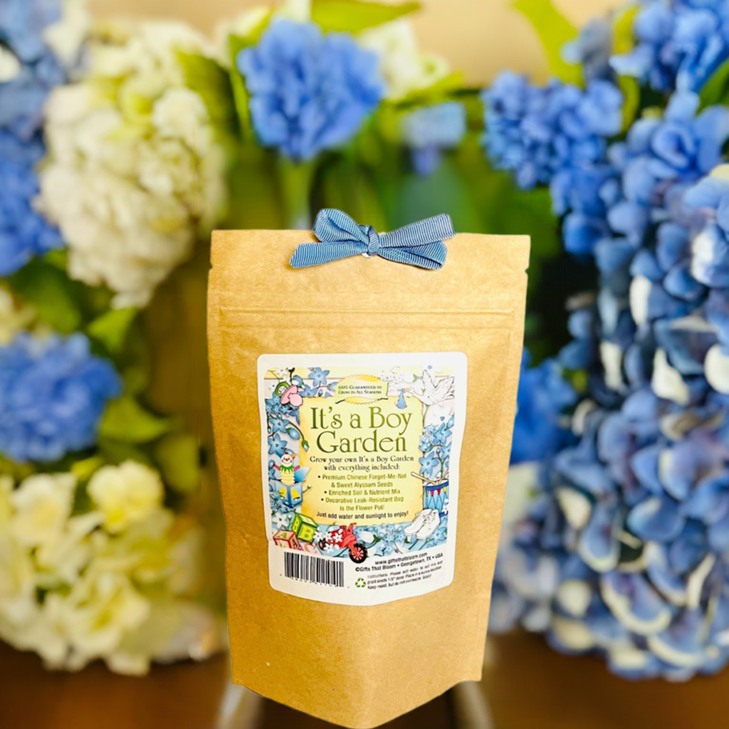 It's a Boy Garden Grobag Seed Kit