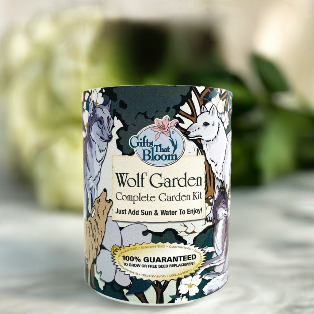 Wolf Garden Grocan Seed Kit