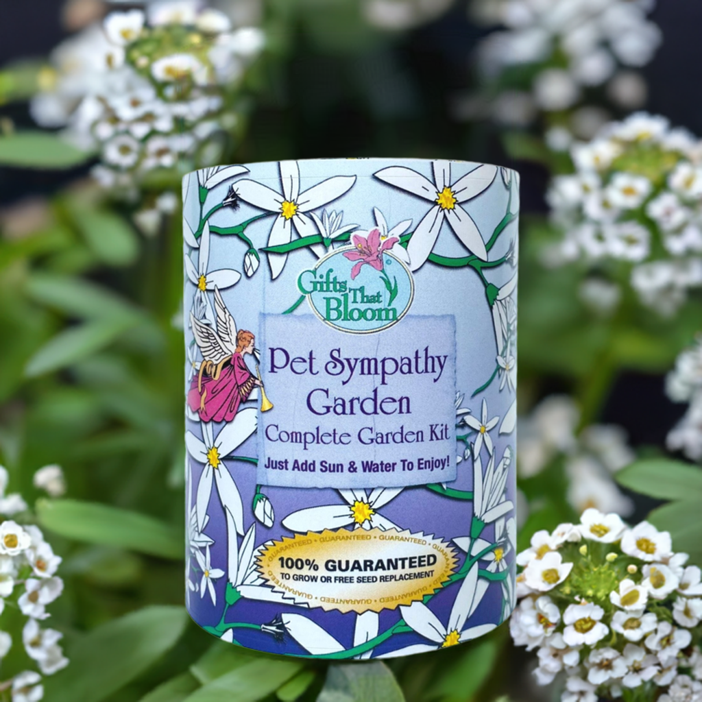 Pet Sympathy Garden Grocan Seed Kit