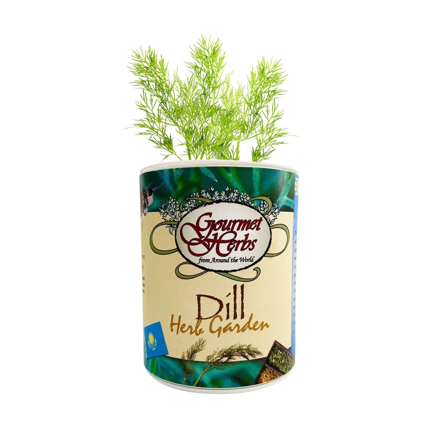 Dill Herb Garden Grocan Seed Kit