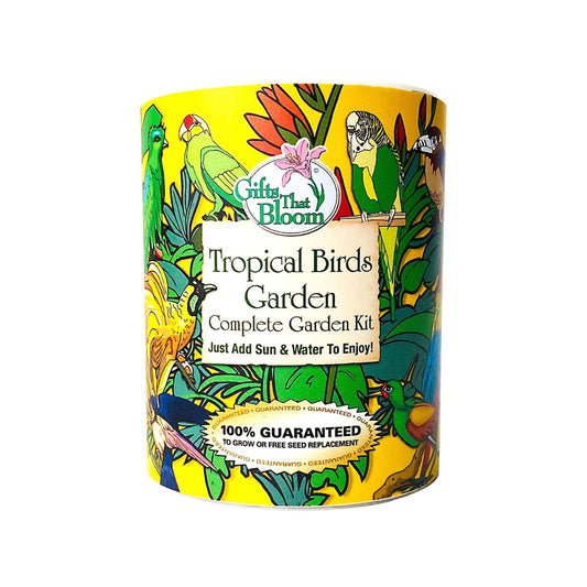 Tropical Birds Garden Grocan Seed Kit