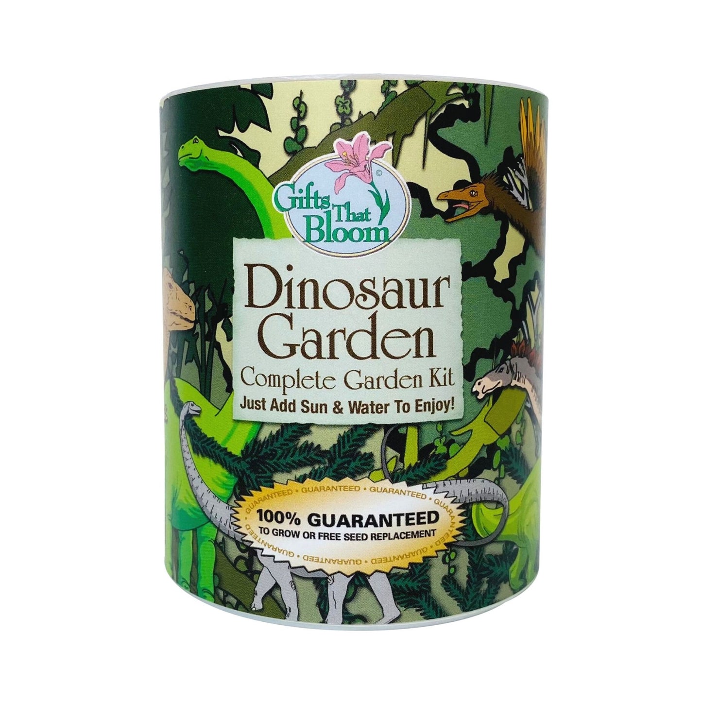 Dinosaur Garden Grocan Seed Kit