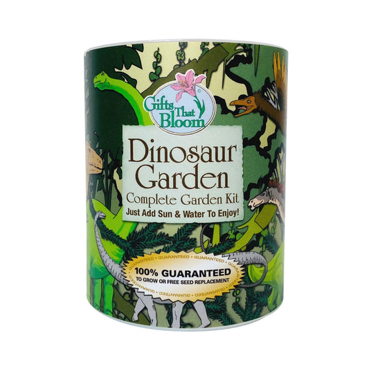 Dinosaur Garden Grocan Seed Kit