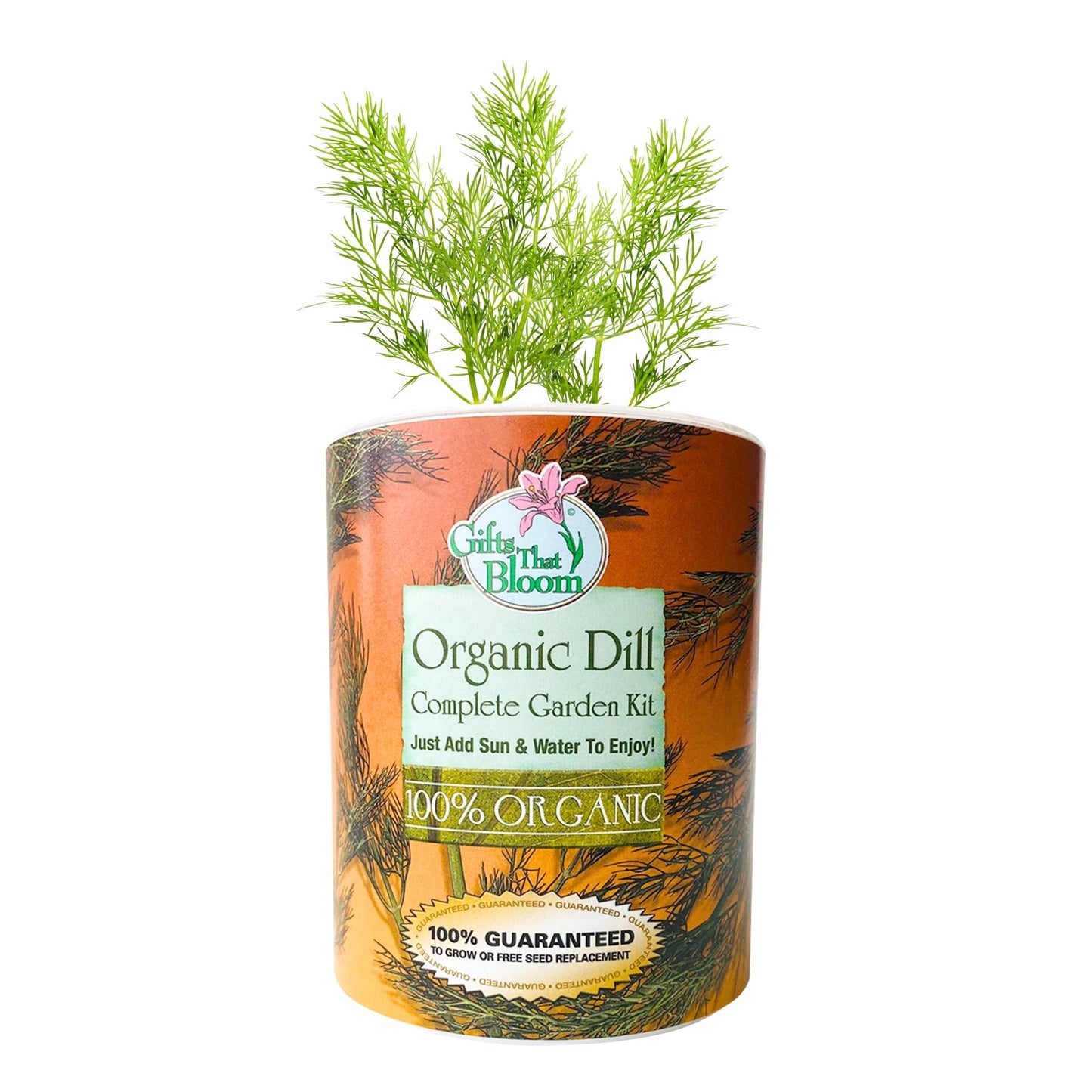 Organic Dill Herb Garden Grocan Seed Kit