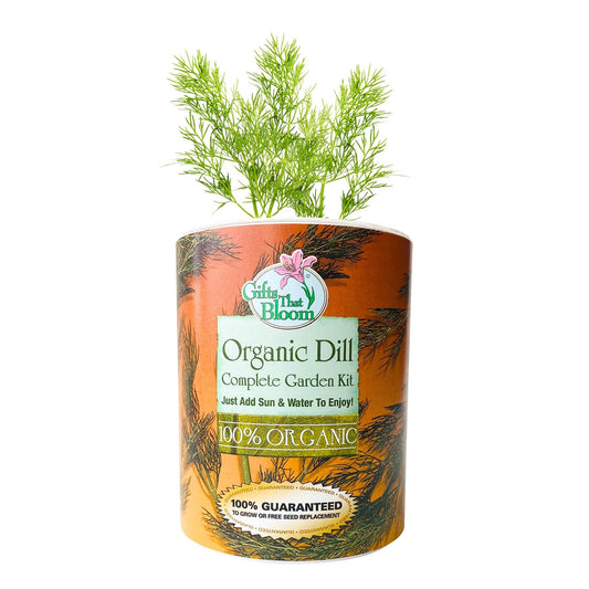 Organic Dill Herb Garden Grocan Seed Kit
