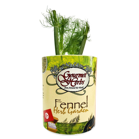 Fennel Herb Garden Grocan Seed Kit