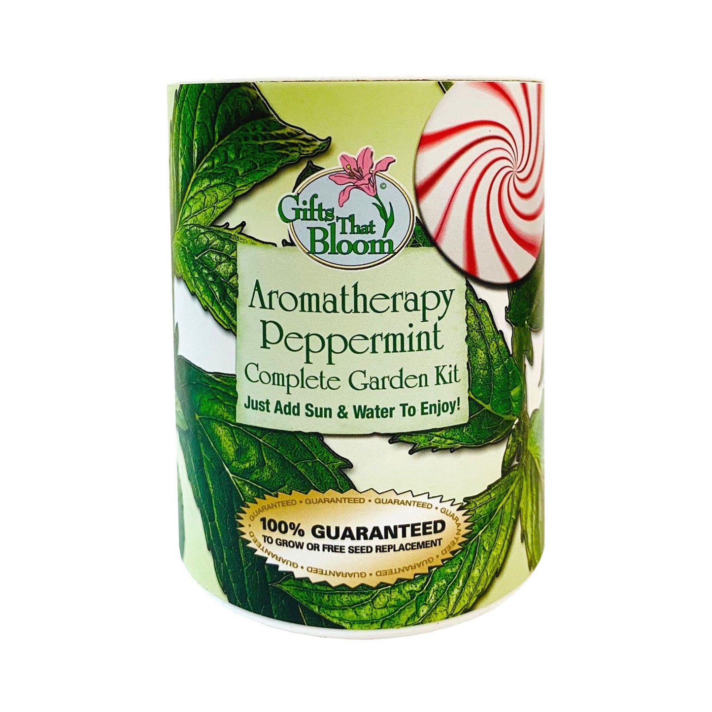 Aromatherapy Peppermint Garden Grocan Seed Kit