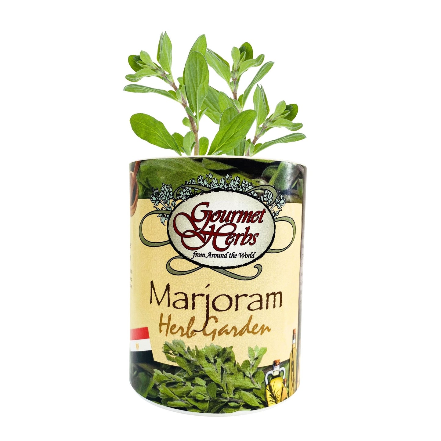 Marjoram Herb Garden Grocan Seed Kit