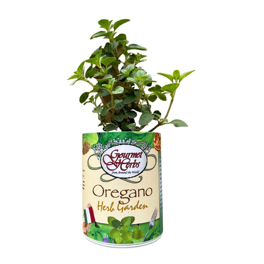 Oregano Herb Garden Grocan seed Kit